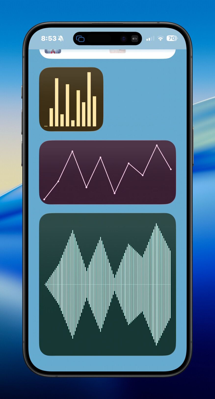 iPhone chart core widget screenshot