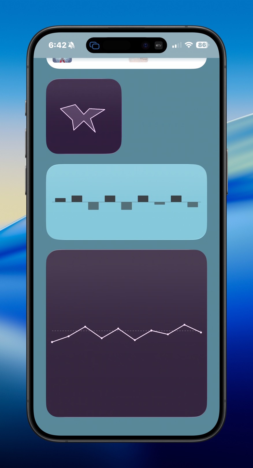 iPhone chart styles B widget screenshot