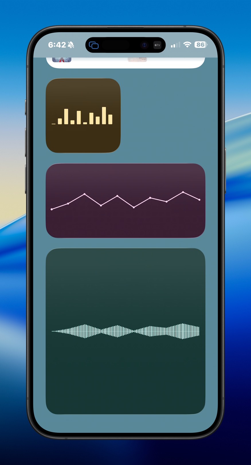 iPhone chart core widget screenshot