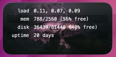 Server Stats widget screenshot