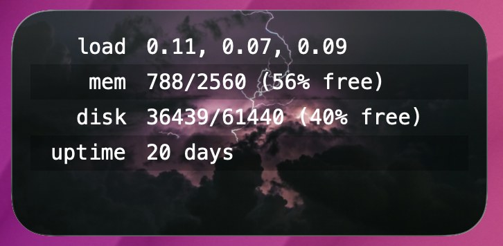 Server Stats widget screenshot